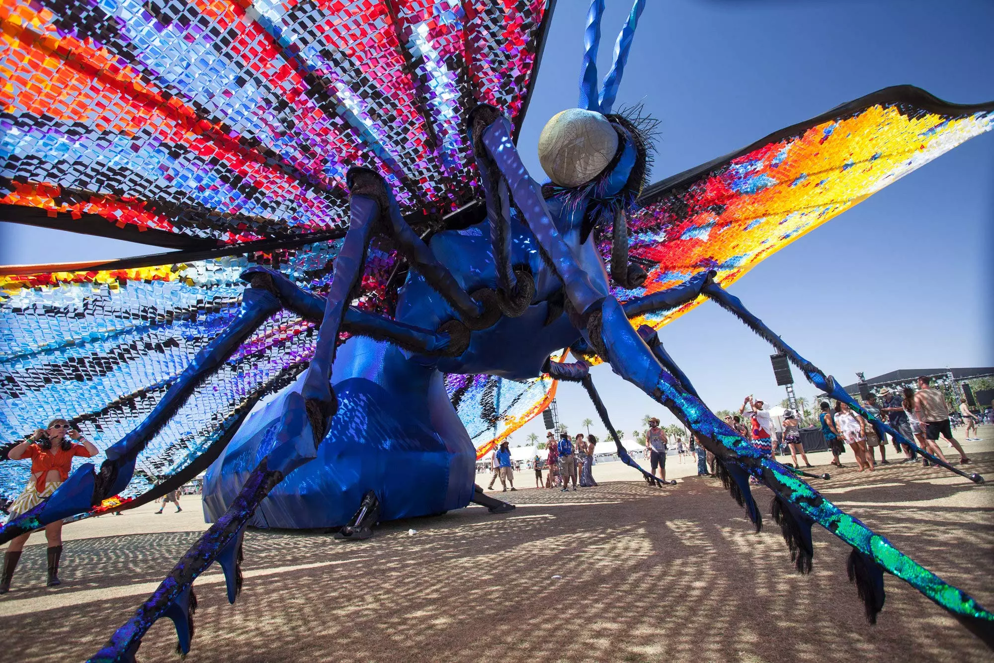 Caterpillar's Longing at Coachella by Poetic Kinetics