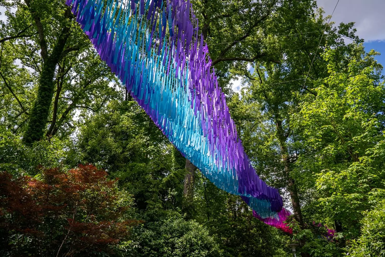 Dream Flora at Atlanta Botanical Garden by Poetic Kinetics
