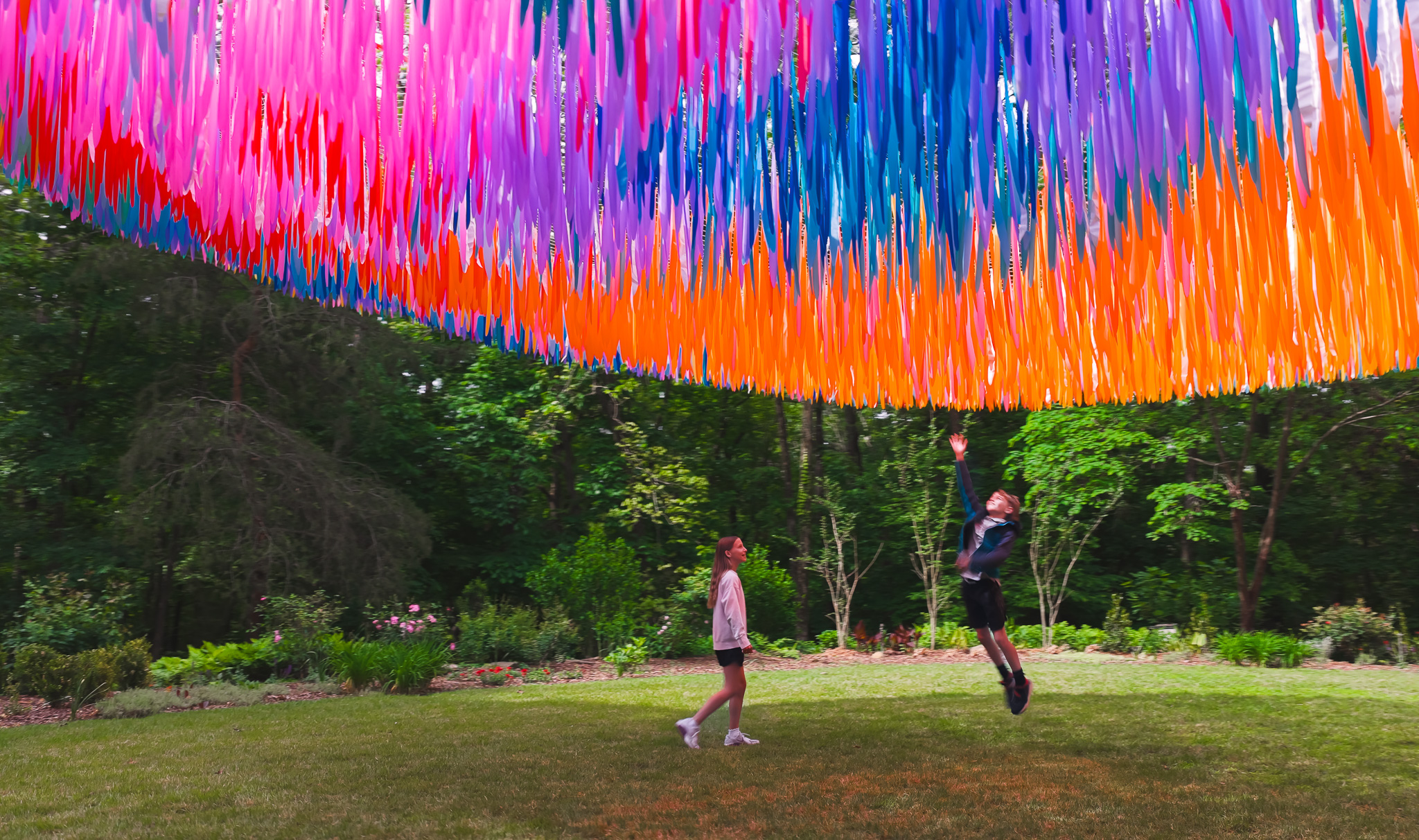 Avian Rainbow festival artwork