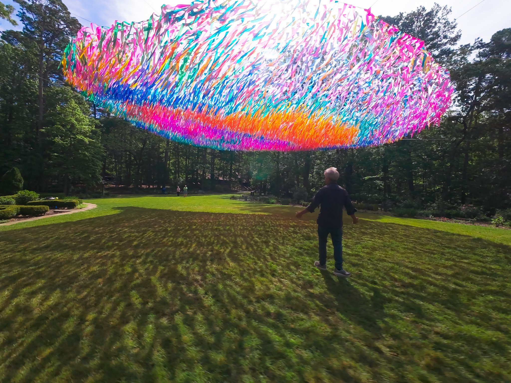 Avian Rainbow — detail 3 — Poetic Kinetics
