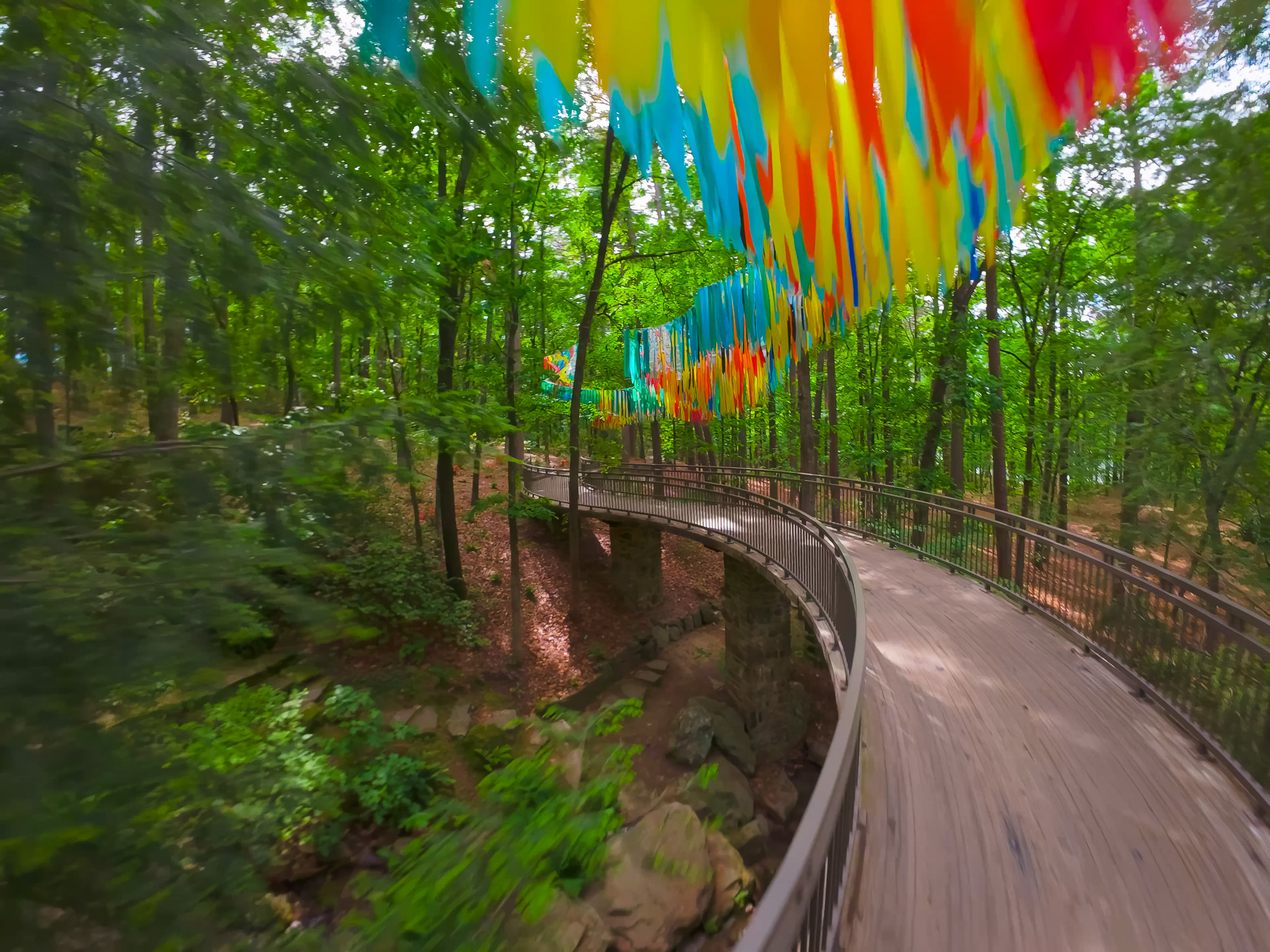 Avian Rainbow — detail 7 — Poetic Kinetics
