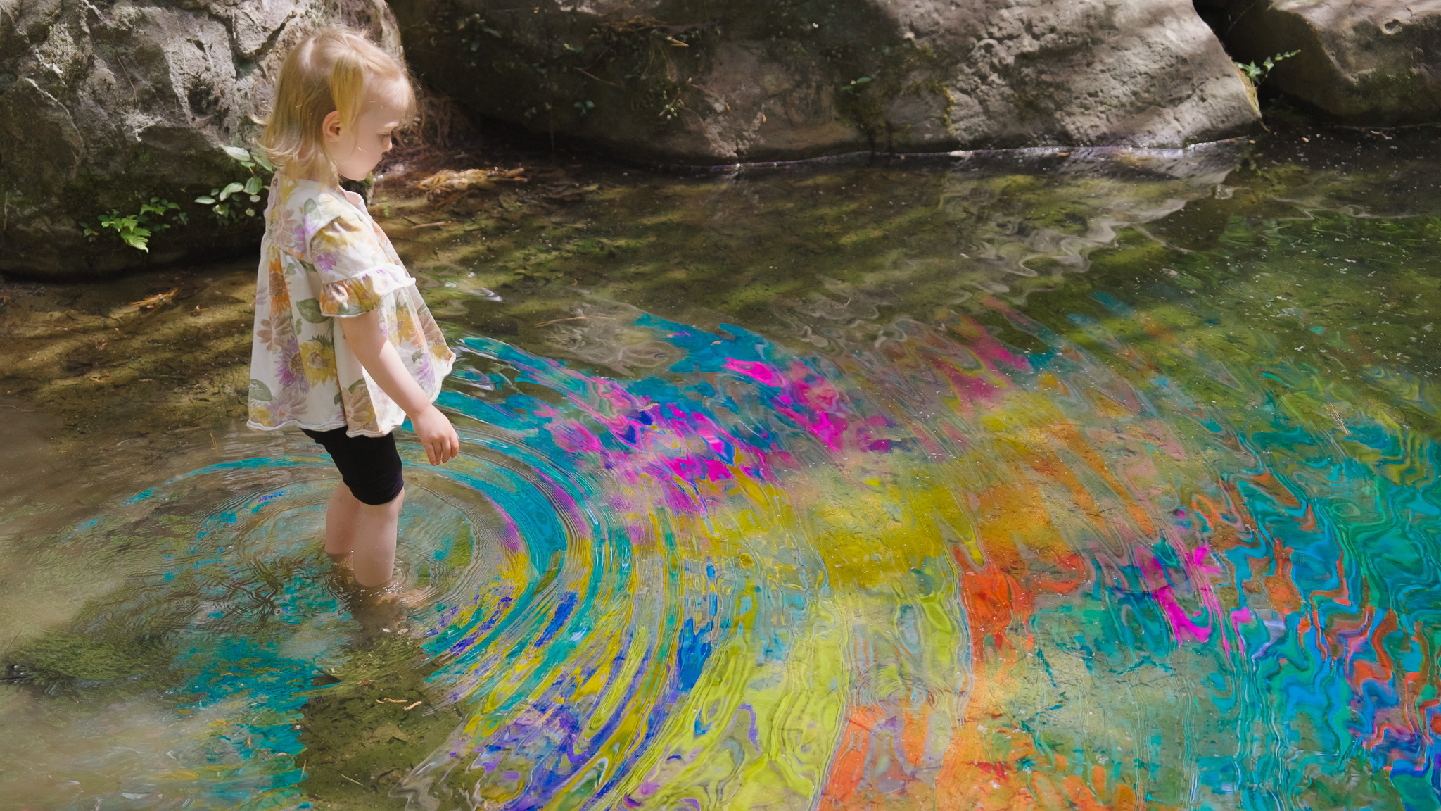 Avian Rainbow — detail 14 — Poetic Kinetics