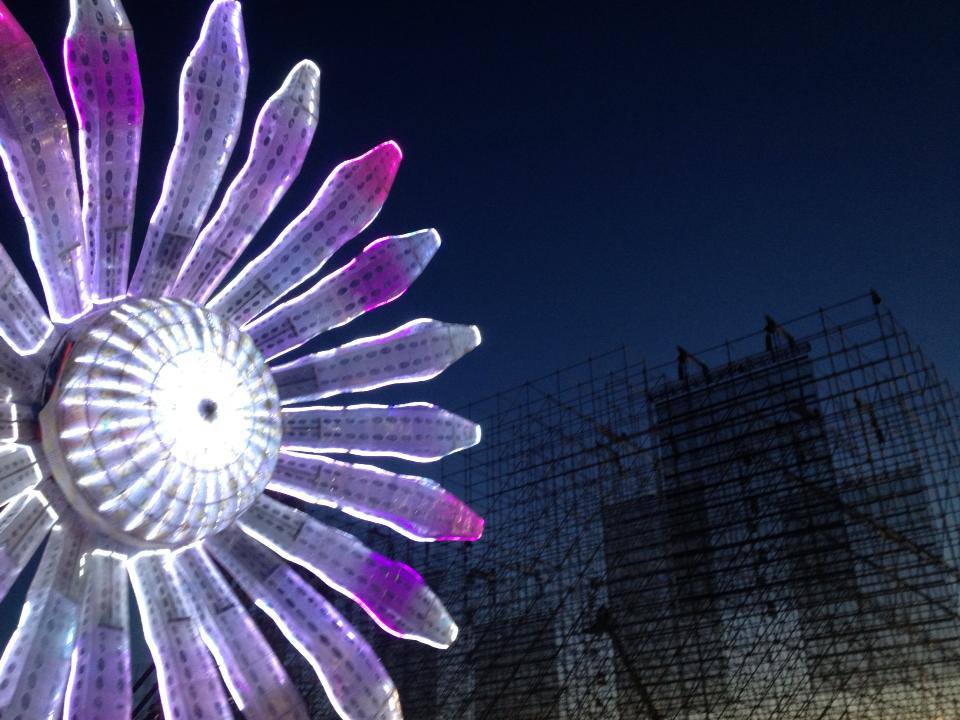Electric Daisy — detail 1 — Poetic Kinetics