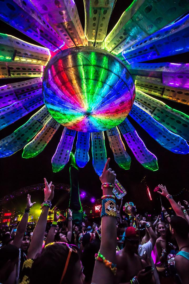 Electric Daisy — detail 2 — Poetic Kinetics