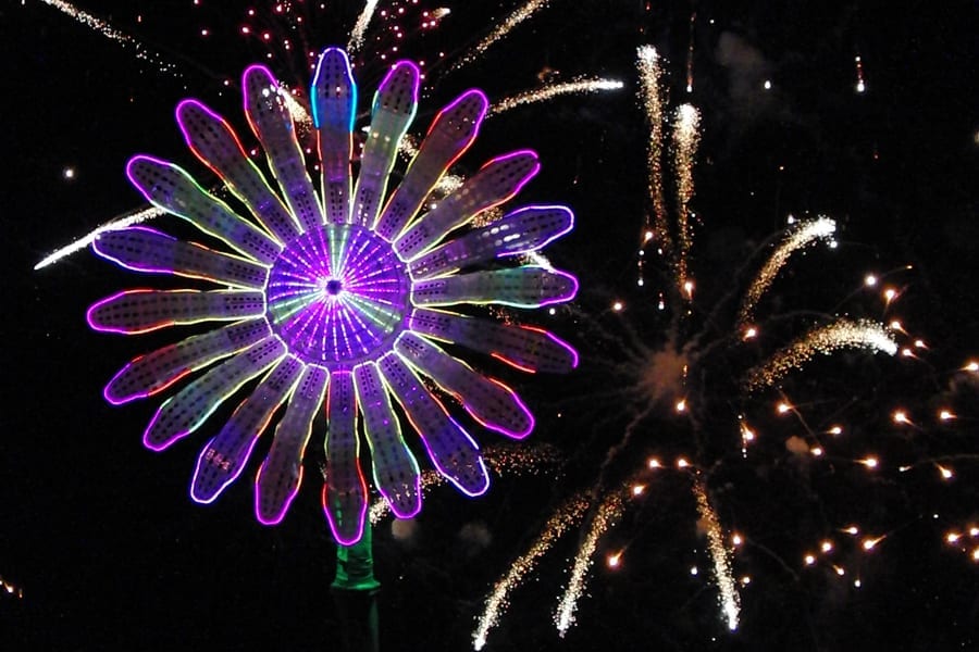Electric Daisy — detail 8 — Poetic Kinetics