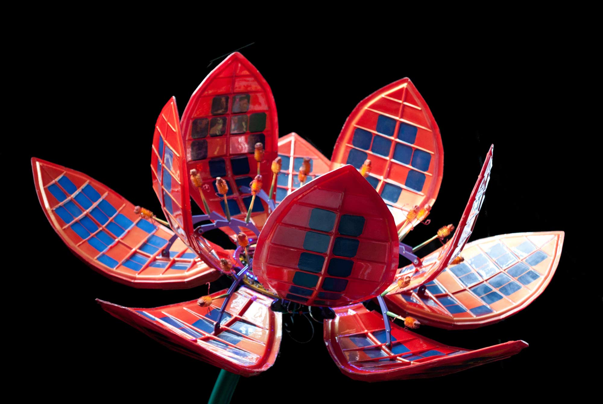 Solar Sunflowers by Poetic Kinetics