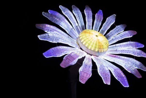 Electric Daisy — detail 5 — Poetic Kinetics