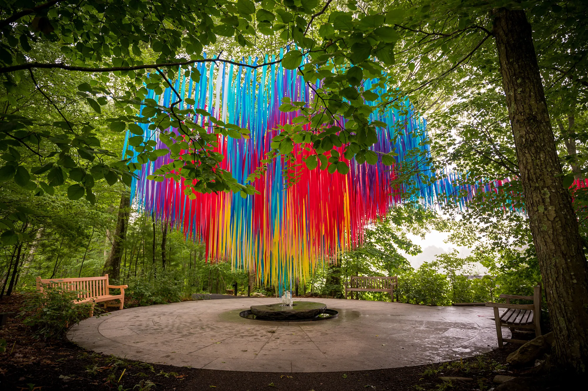 Flora in Flight at New England Botanic Garden by Poetic Kinetics