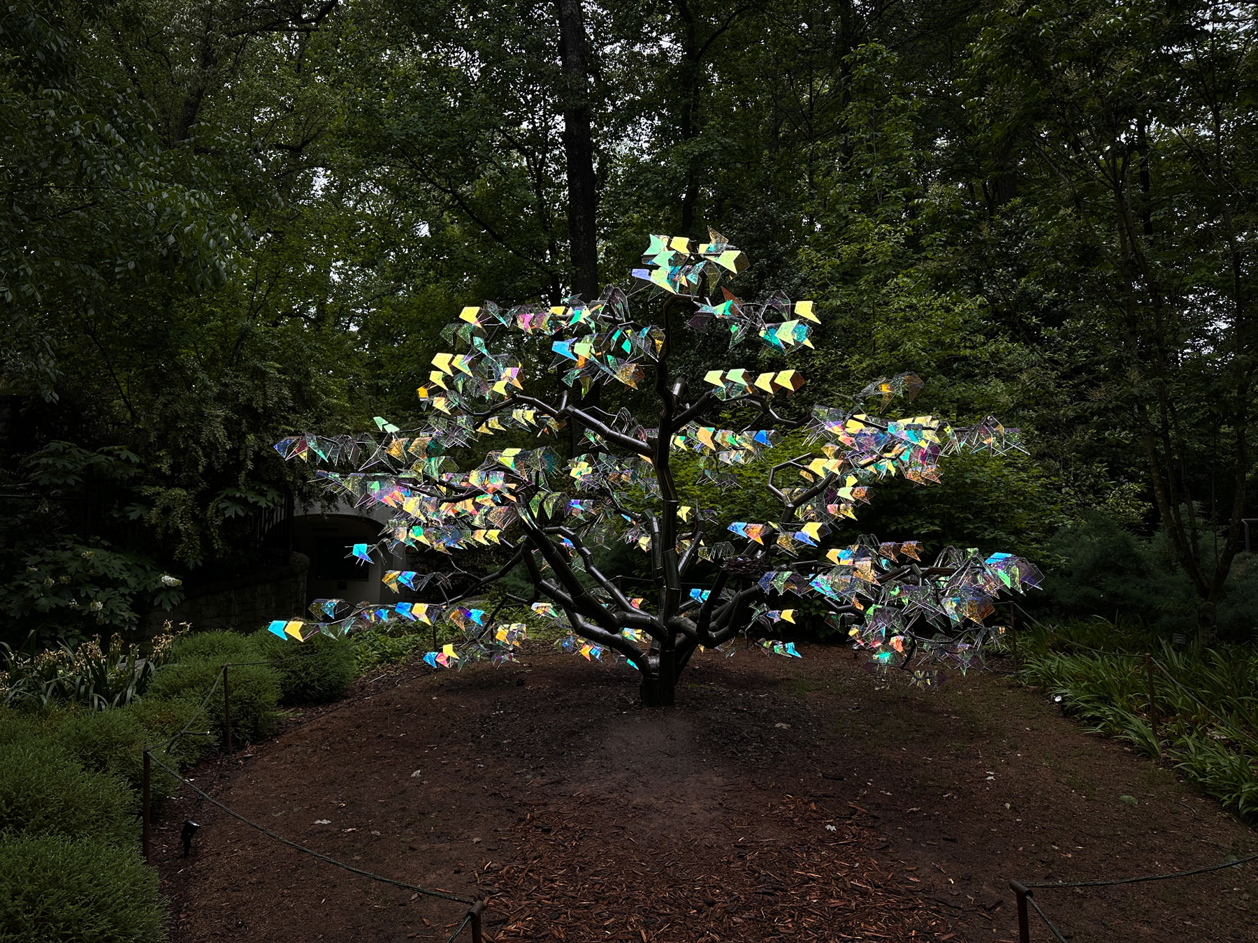 Enchanted Trees traveling exhibit installed in a garden setting
