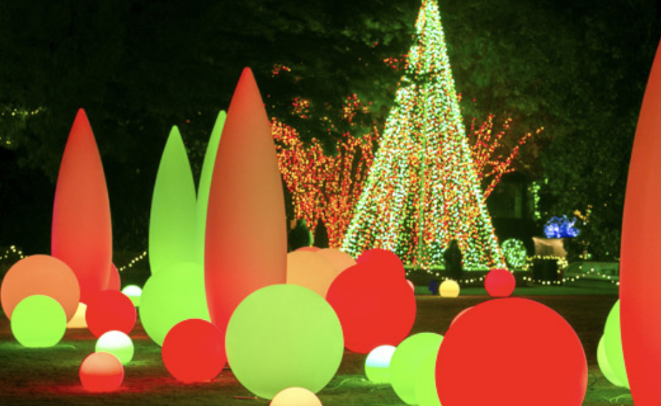 Garden Lights, Holiday Nights — original article image