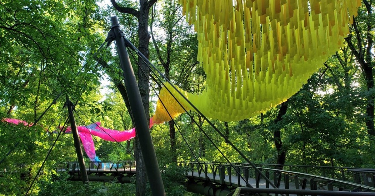 It's a bird, it's a plane, it's a 'Skynet' at Atlanta Botanical Garden — original article image