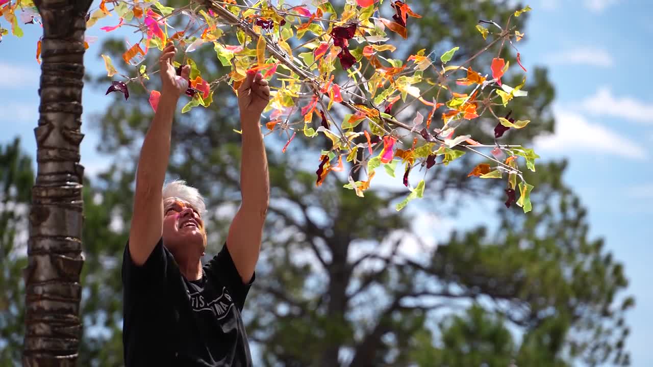 Patrick Shearn and a Poetic Kinetics installation — KOAA video cover