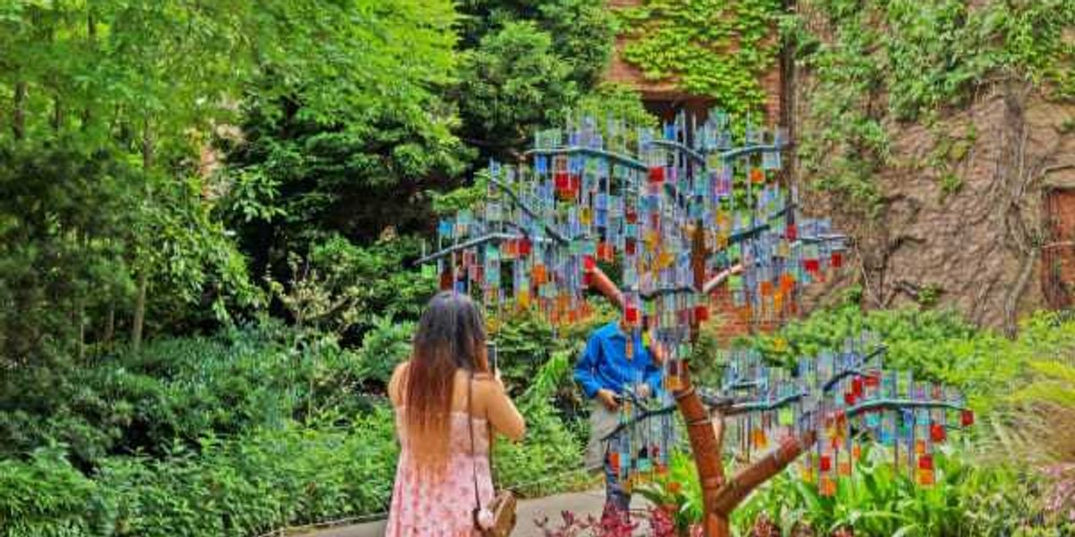 San Antonio Botanical Garden blooms with new spring installation — original article image
