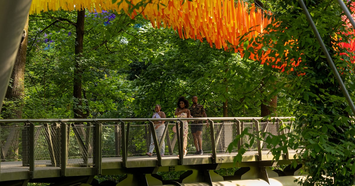 SUPERnatural installation brightens days at Atlanta Botanical Garden — original article image