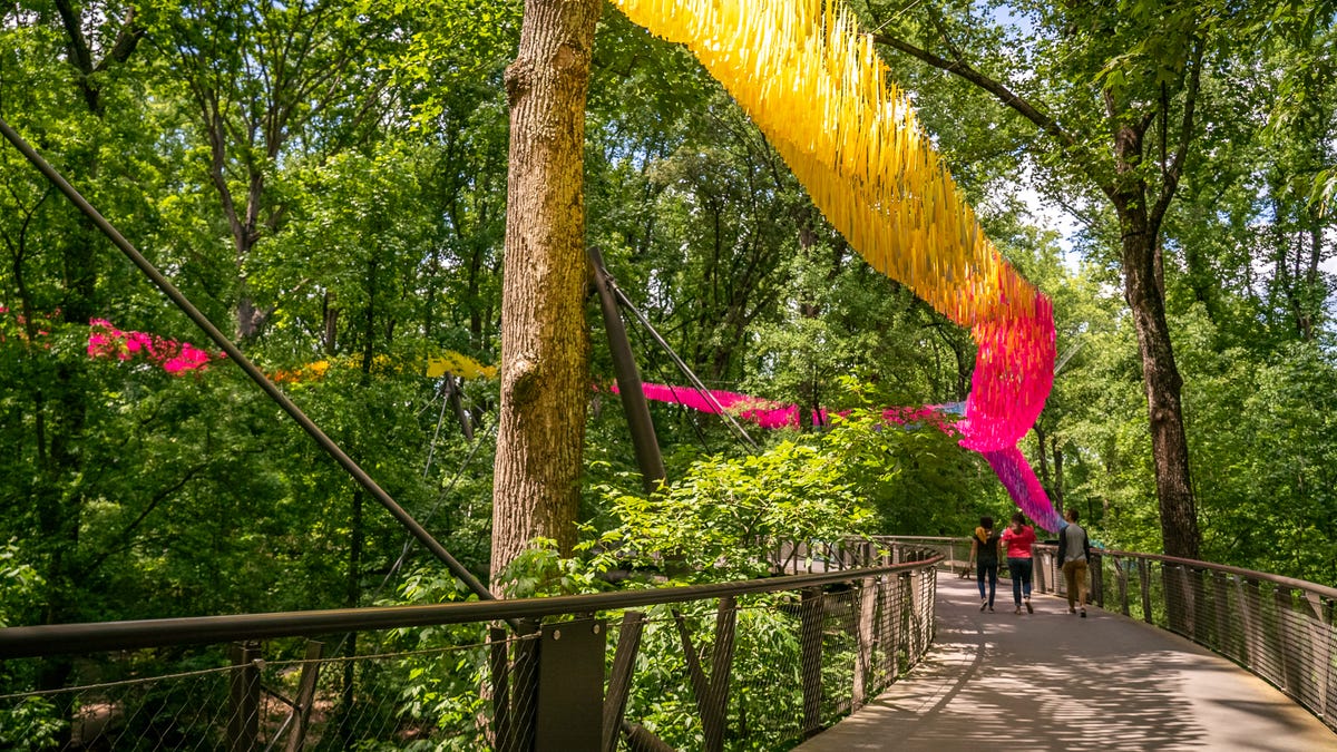 Take to the sky: 'Flora in Flight' brings aerial art to New England Botanic Garden — original article image