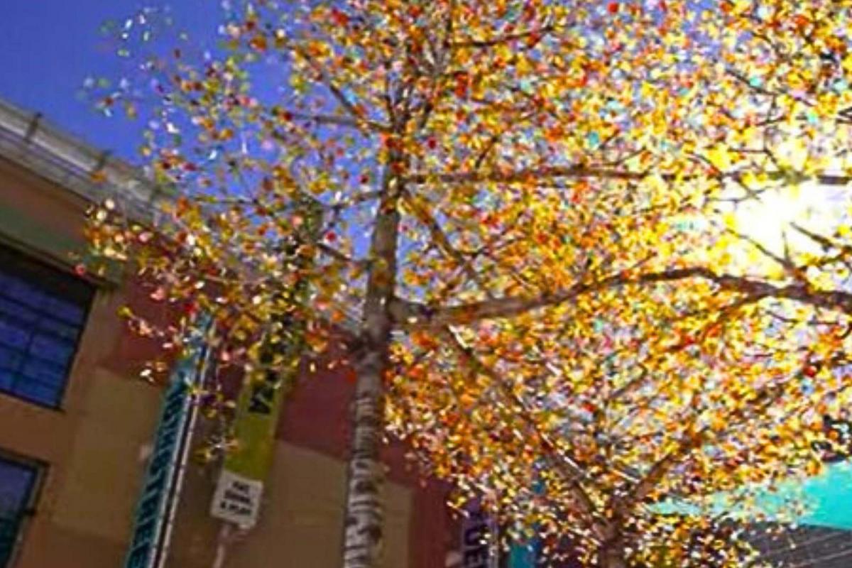 These Aspen Trees On 16th Street in Denver Are Actually Moving Pieces of Art — original article image